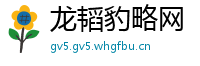 龙韬豹略网